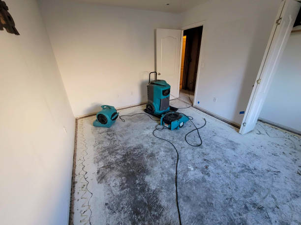 Best Fire Damage Restoration  in Fairfield Glade, TN