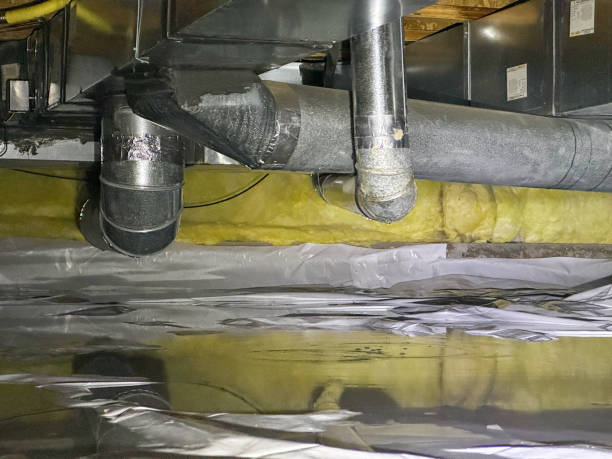 Best Water damage mitigation services  in Fairfield Glade, TN