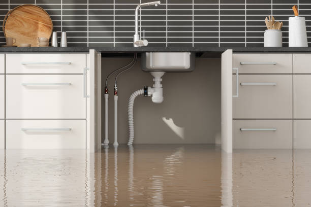 Best Flood restoration services  in Fairfield Glade, TN