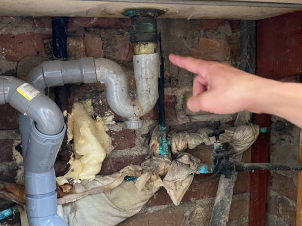 Best Sewage cleanup and water damage restoration  in Fairfield Glade, TN