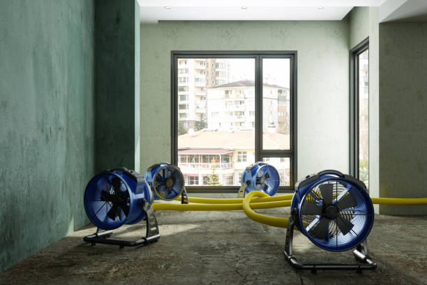 Best Flood restoration services  in Fairfield Glade, TN